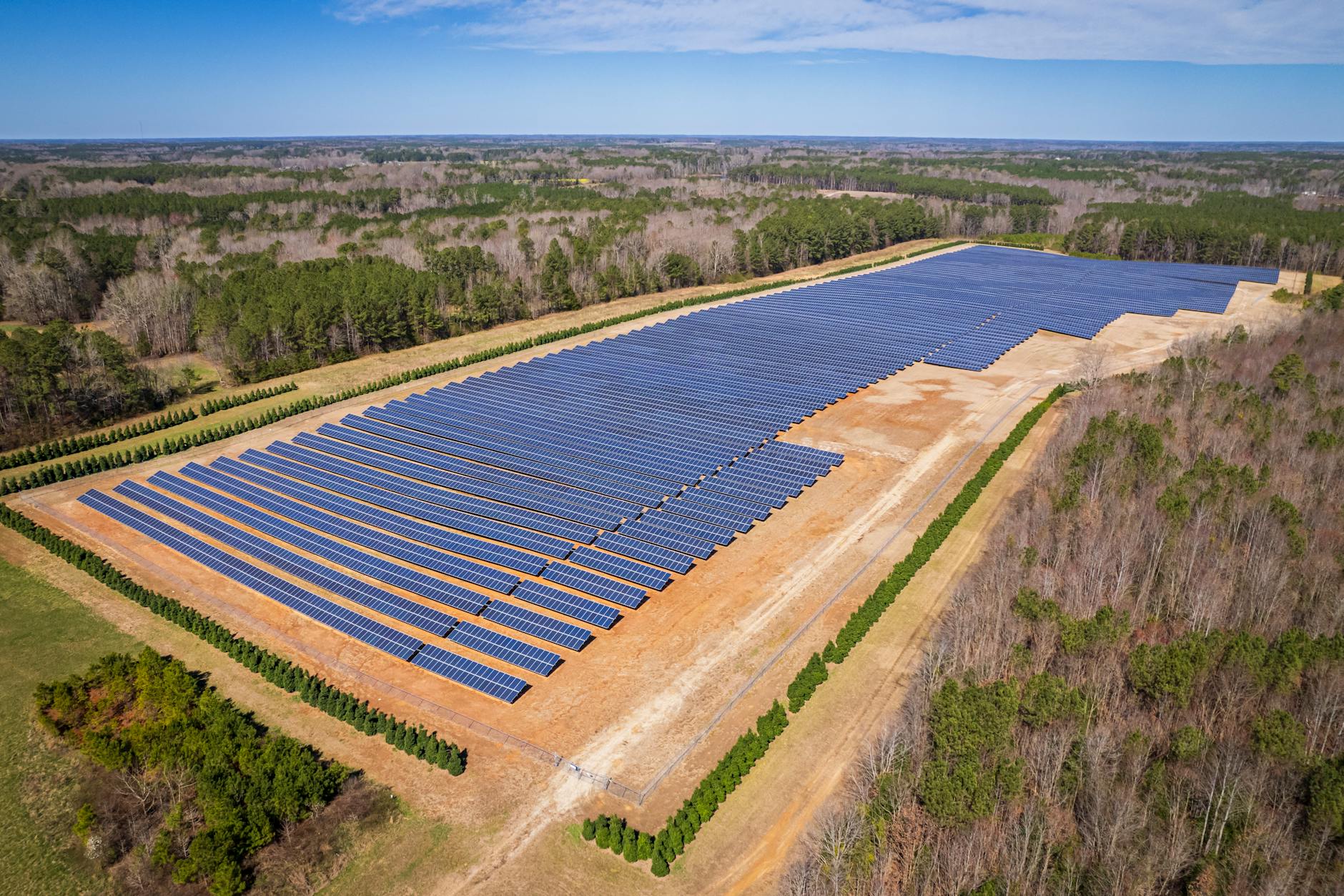 Guide to Cleaning Pollen Off Solar Panels